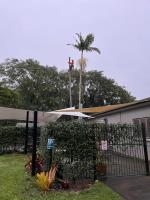 Advanced Tree Surgery Sunshine Coast image 2